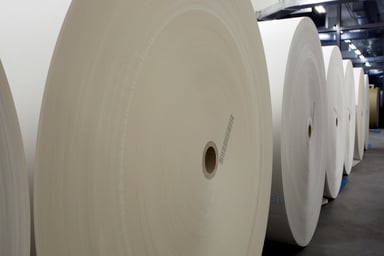 Paper rolls - GettyImages-182177303