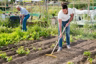 garden family farming fresh produce