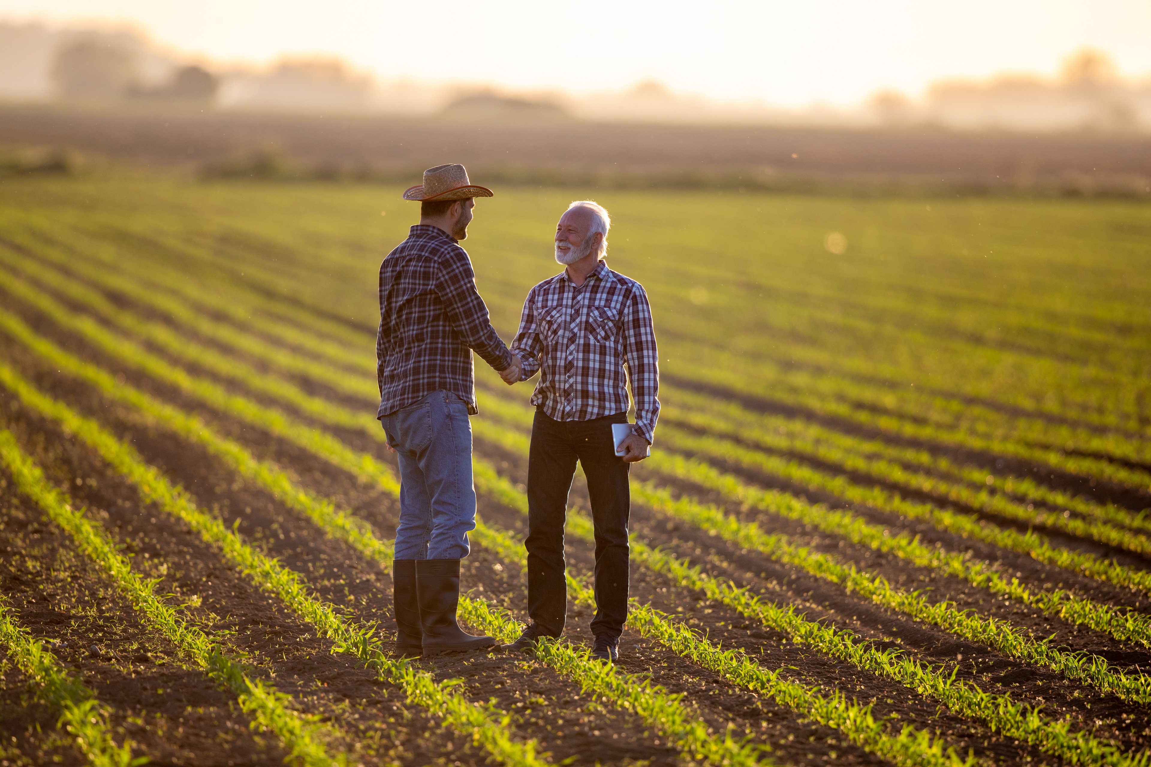 farming partnerships agriculture nature business