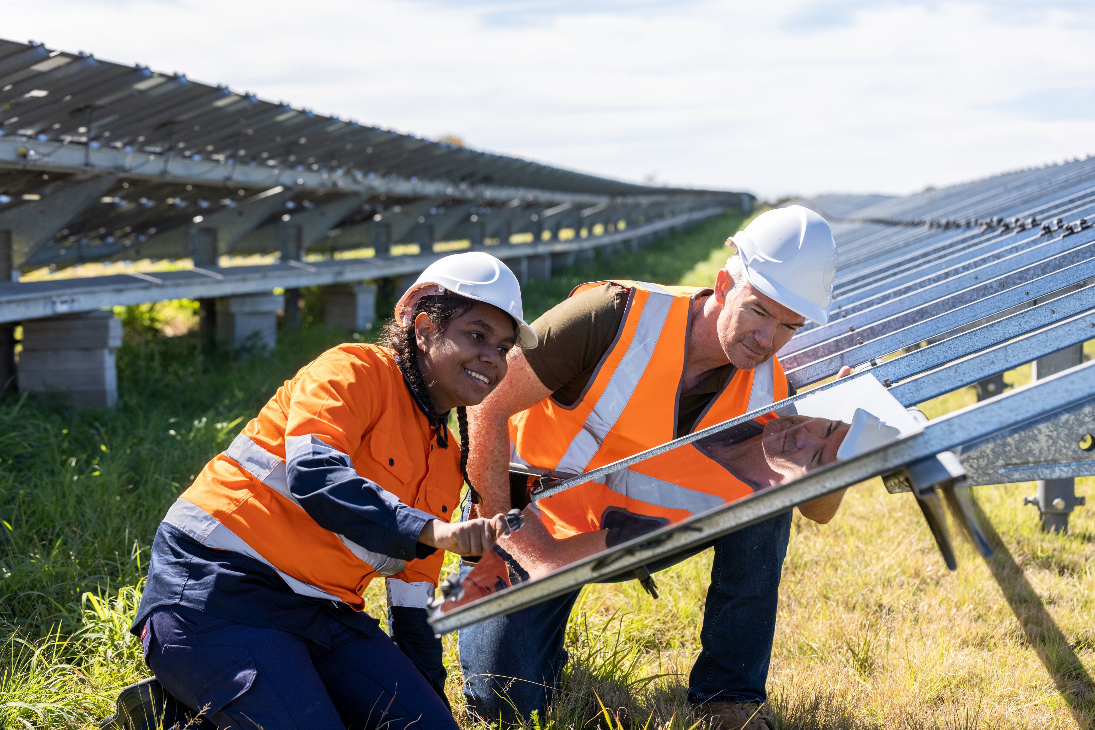 apprentice solar panel farm renewable energy