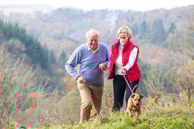 Senior couple with dog GettyImages-532186113