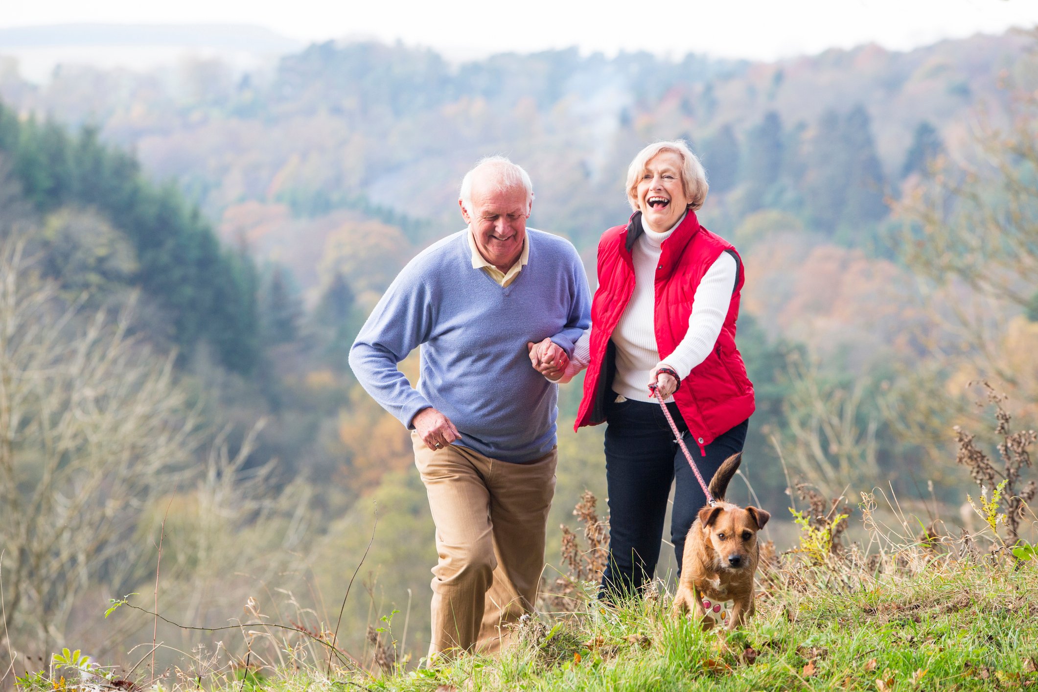 Two people walking a dog.
