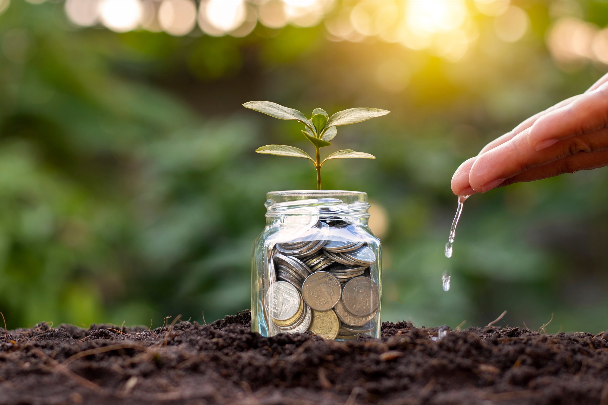 A glass pot filled with coins and a seedling on top.