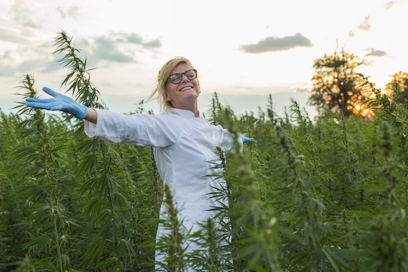 A person standing with arms spread wide in a marijuana field.