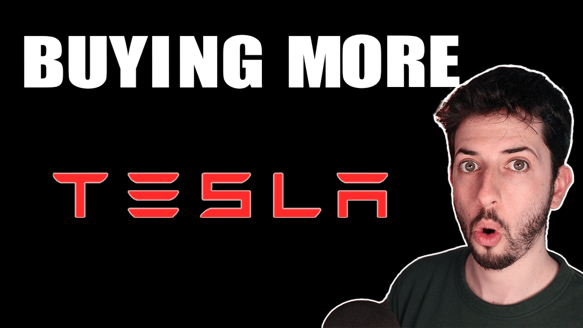 Here's Why I'm Buying Tesla Stock as It Crashes | The Motley Fool