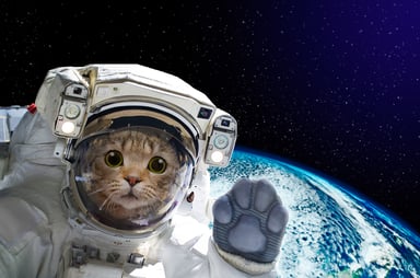 Cat in a space suit floating over Earth.