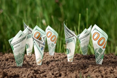 100 dollar bills grow in soil