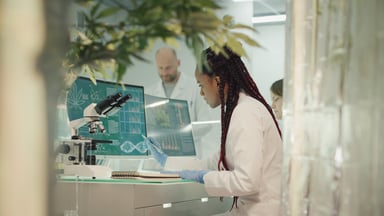 Person testing marijuana products in a lab.