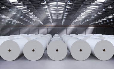 Paper Rolls in Warehouse