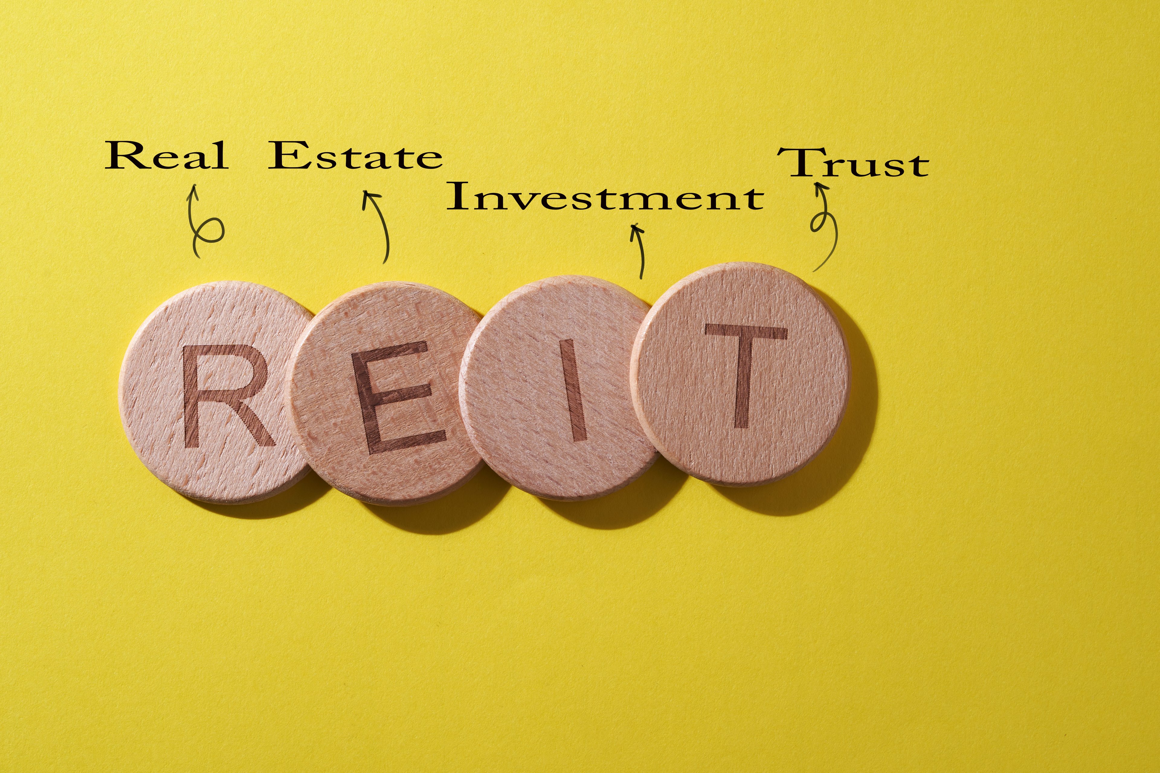REIT coins explanation