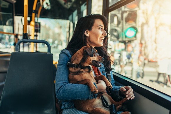 Person and dog on a city bus.