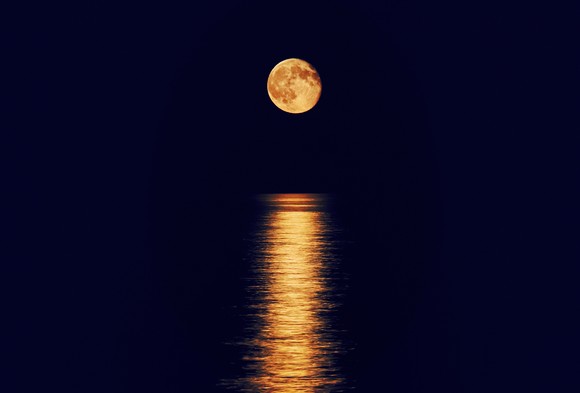 A golden moon shines its light over a quiet lake.