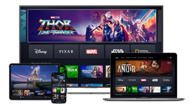 Disney+ landing page on numerous streaming devices