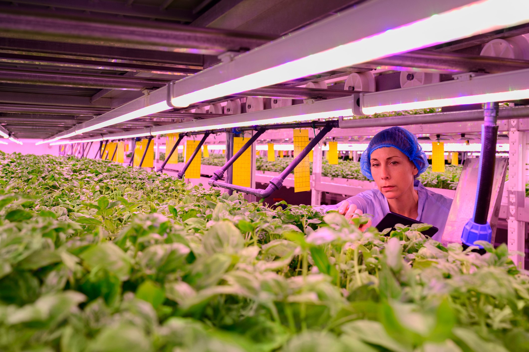 growgeneration