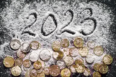 2023 snow coins