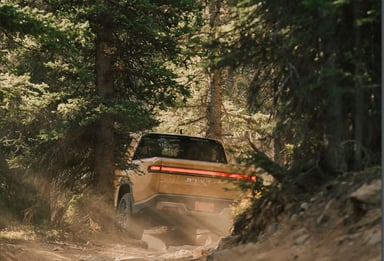 Rivian_rearview_woods