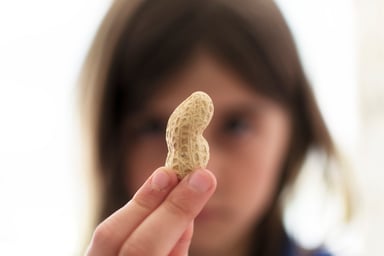 Peanut held by girl