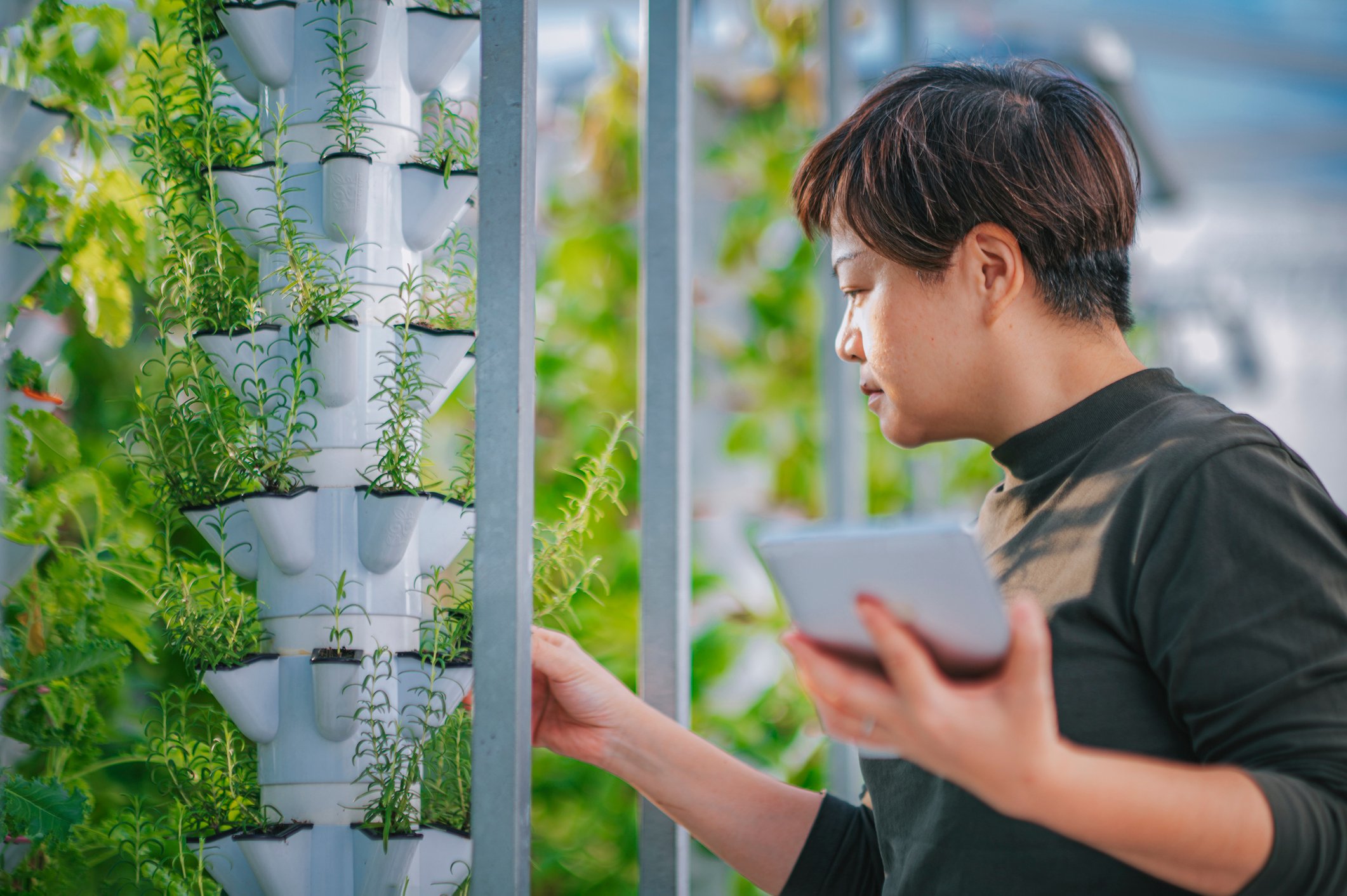Person working in a vertical farming facility