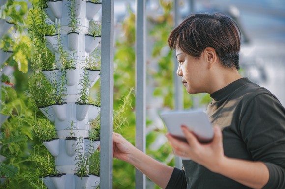 Person working in a vertical farming facility