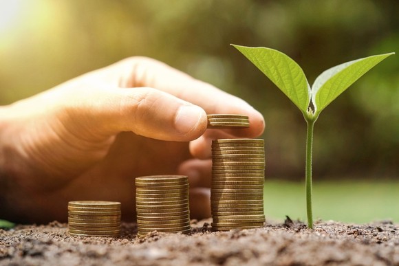 A person stacking coins next to a growing plant. 