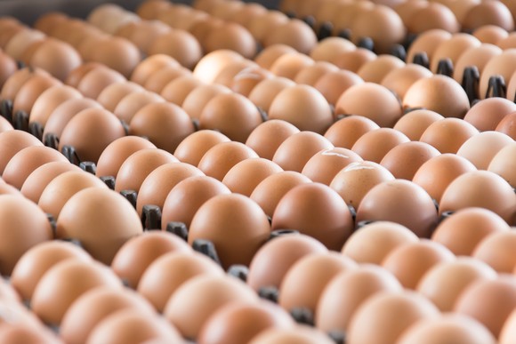 Rows of brown eggs.