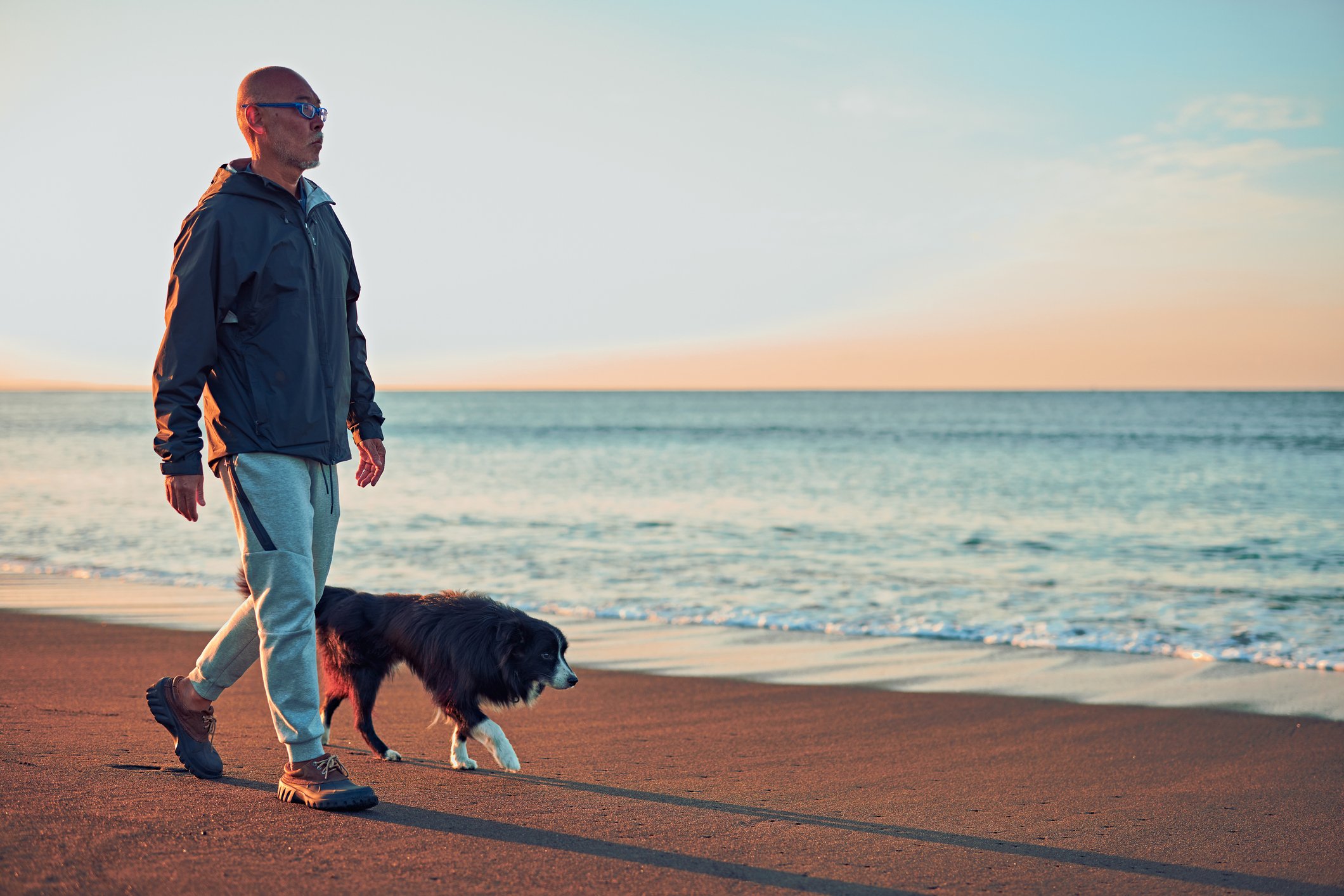 Person walking on a beach with a dog.