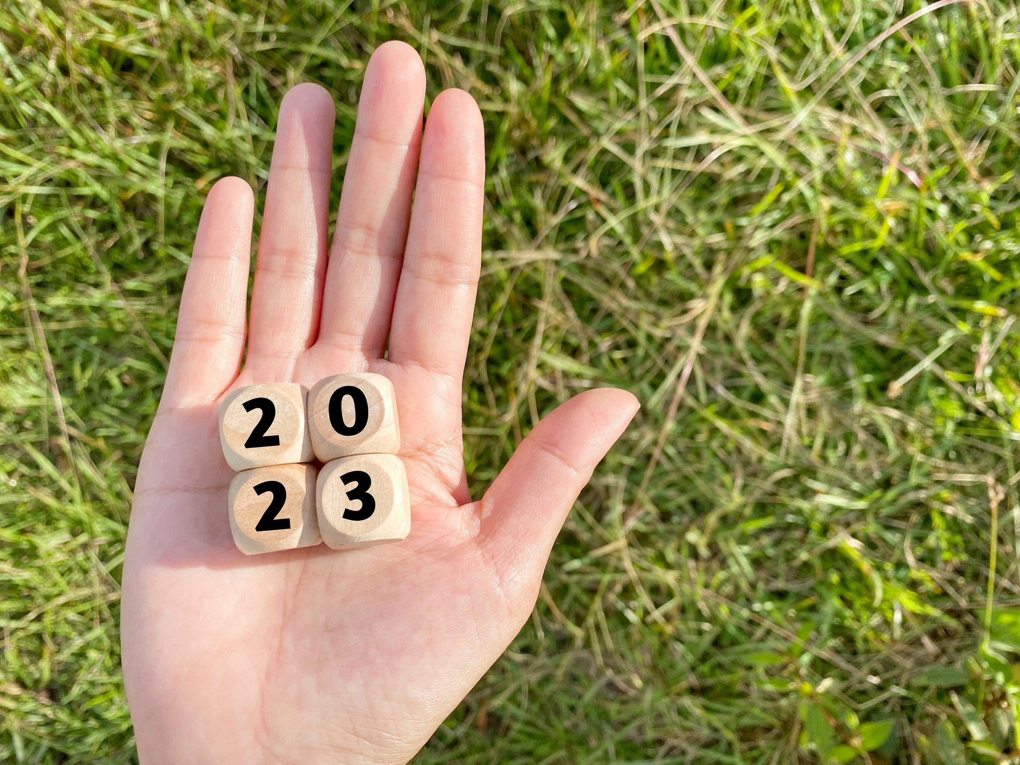 2023 on wood blocks in an extended palm.