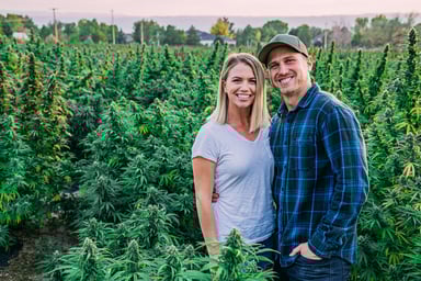 Smiling farmers in a field of marijuana plants