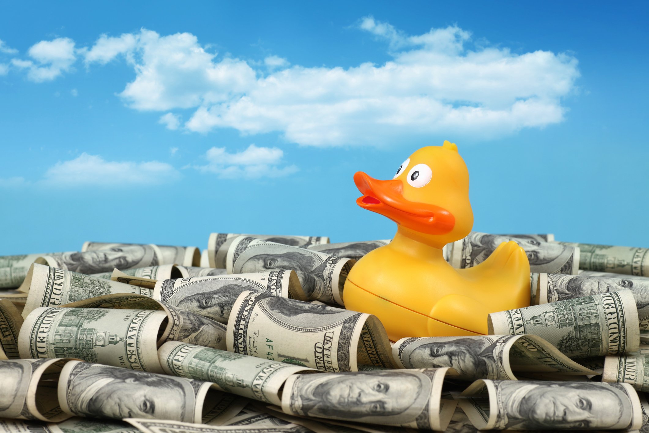 Rubber duck amid a pile of US currency