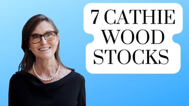 7 cathie wood stocks