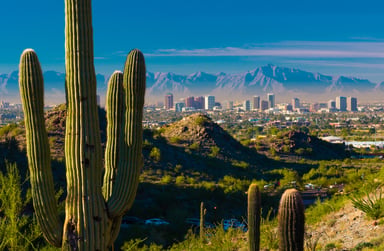 Saguaro cactus with Phoenix skyline in distance