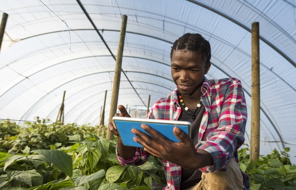 A person holding a tablet in a greenhouse.