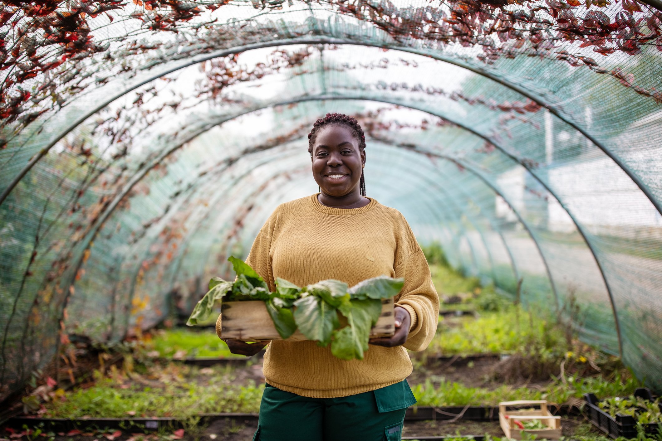Smiling person holding plant in greenhouse.