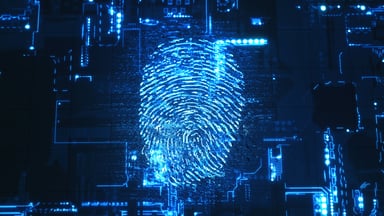 cybersecurity fingerprint