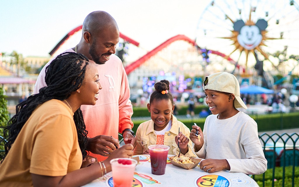 Family at Disney theme park.