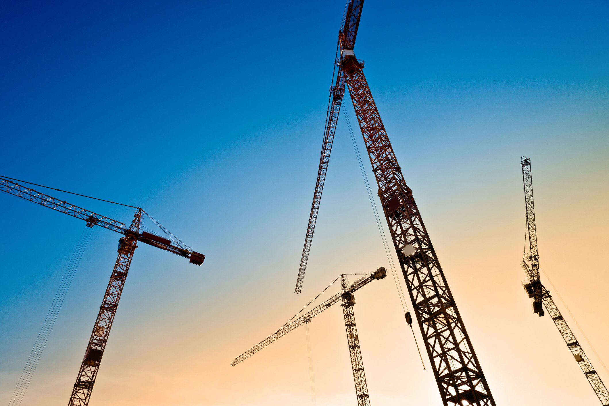 Cranes cranes cranes