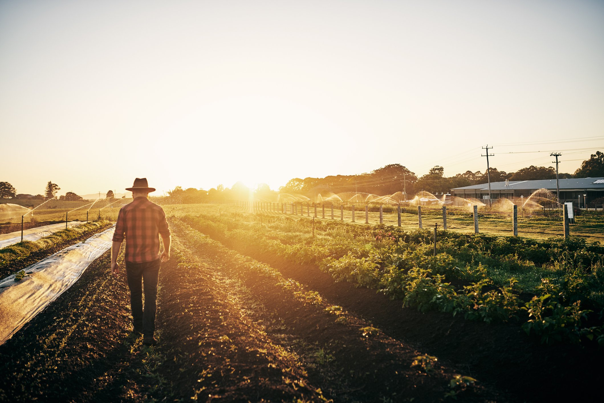 Farmland - GettyImages-1083286598