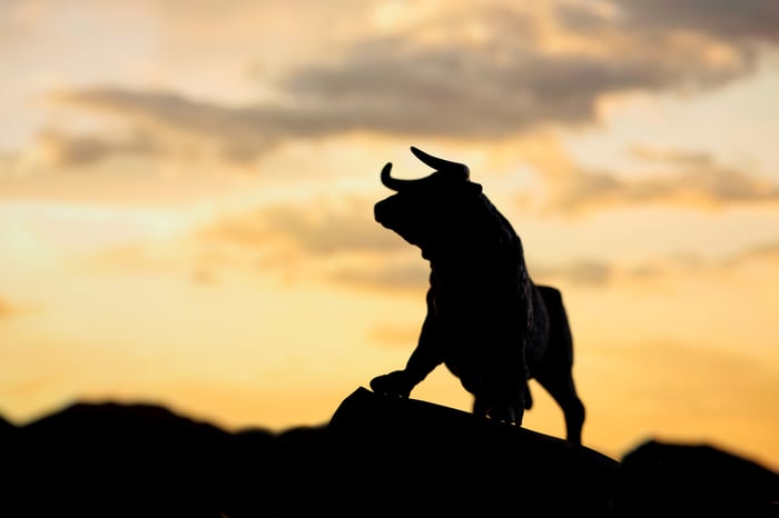 A bull standing on a ridge.