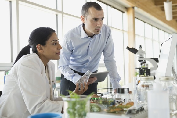A pair of scientists review data on a computer at a lab bench with some plant samples in beakers nearby.