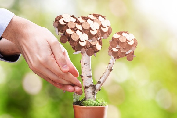 Watering a plant with coins.