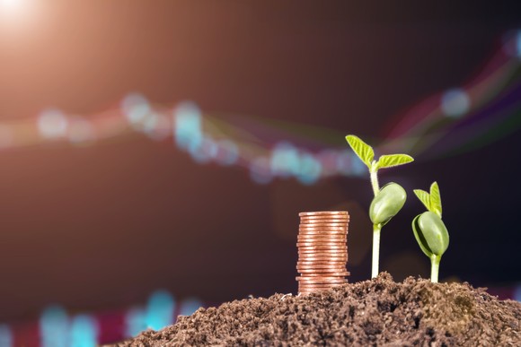 Stack of coins next to sprouting seedlings.