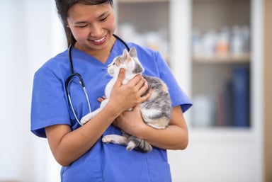 veterinary medicine_ vet holds cat