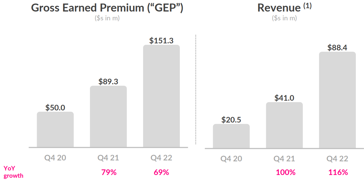 Lemonade revenue and gross earned premium.