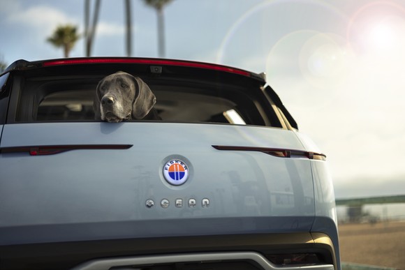A rear view of Ocean SUV with dog looking out back window.