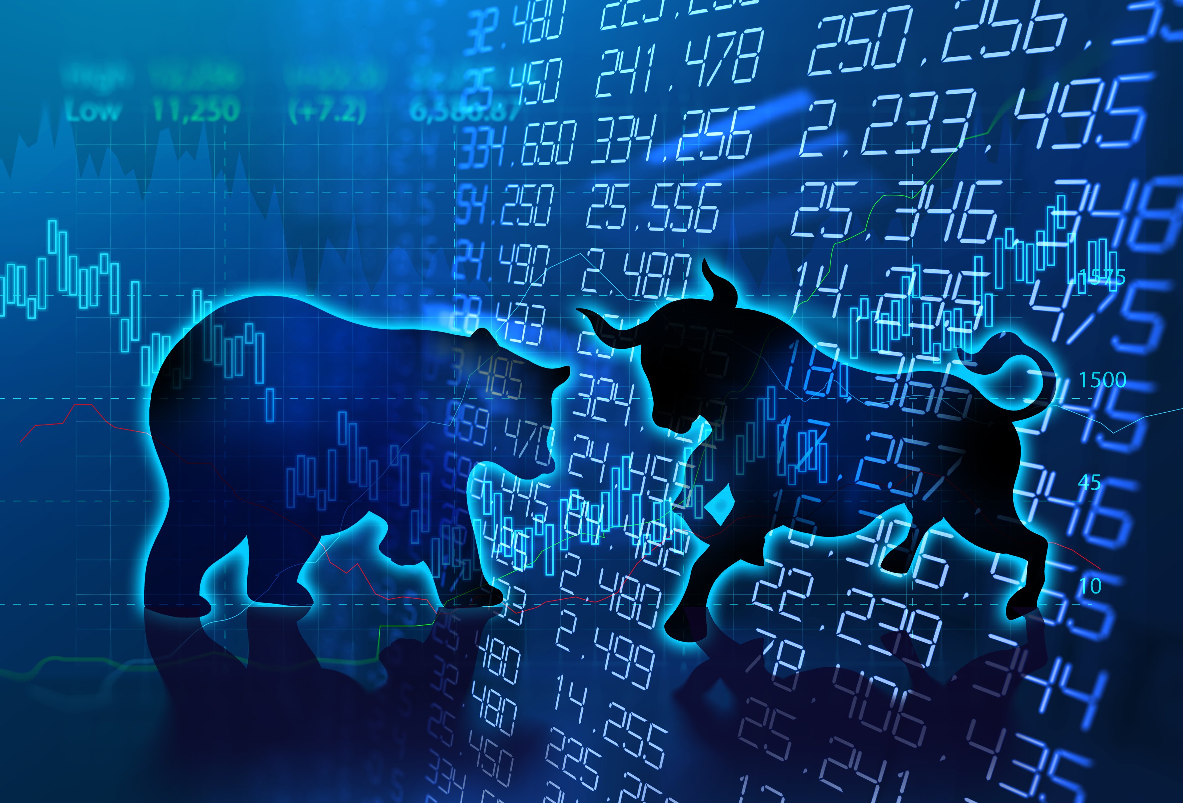 bull vs. bear market