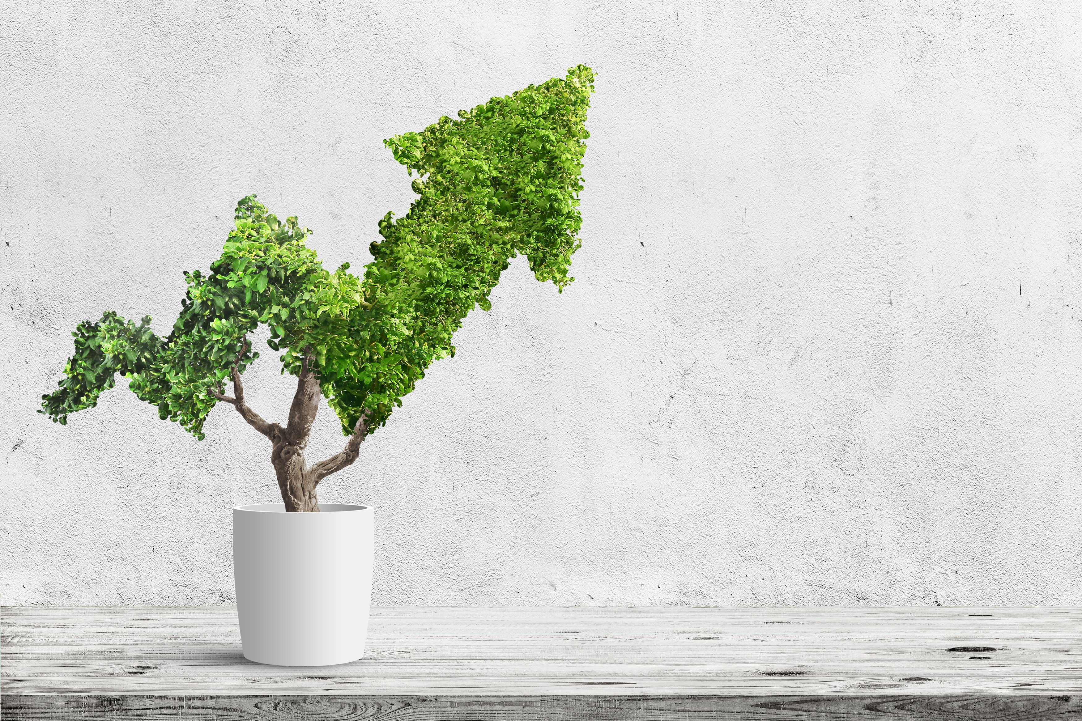 green arrow made of plant trending upwards