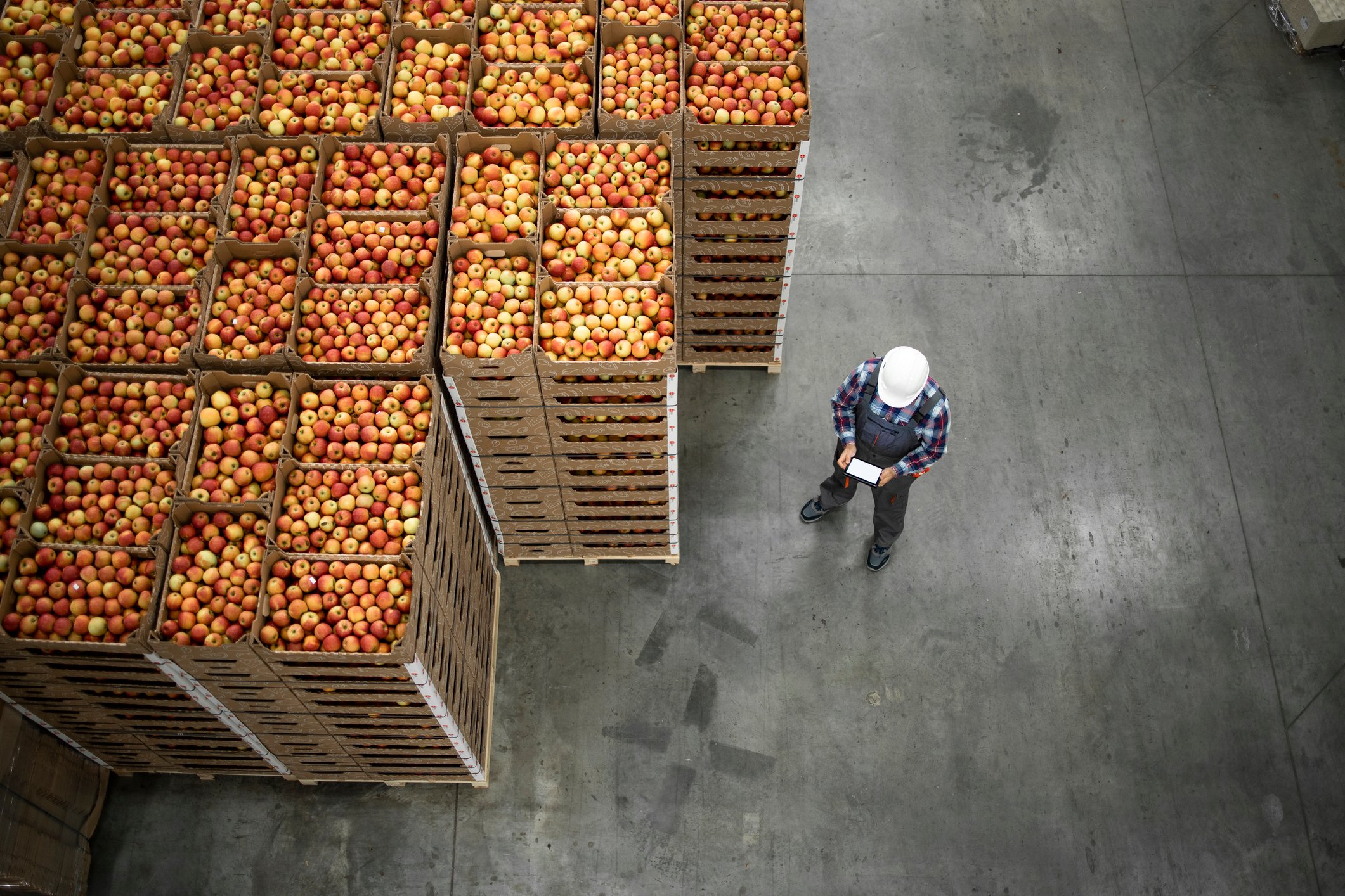 crates of fruit storage