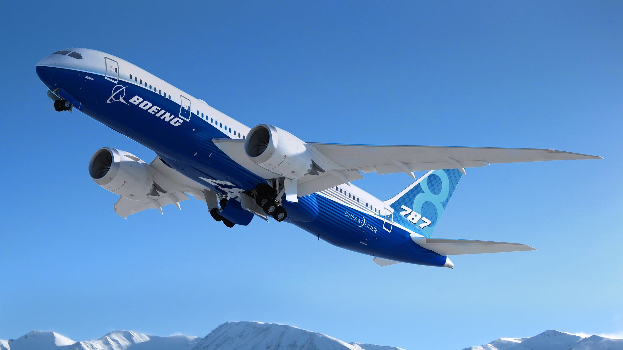 A Boeing 787 Dreamliner in flight. 
