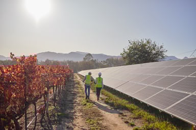 Workers walk along a row of solar panels.
