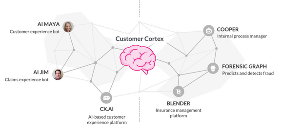 Lemonade as an image of neural connectedness.